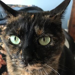 Meet your Posher, Beverly